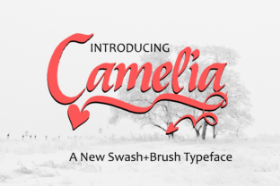 Camelia: A Handwritten Font for Elegant Design
