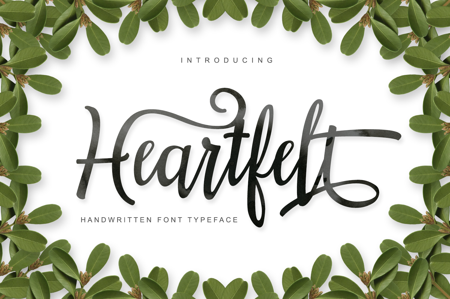 Heartfelt Font Review