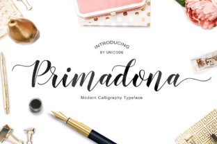 Primadona: A Handwritten Script Font for Editorial Elegance