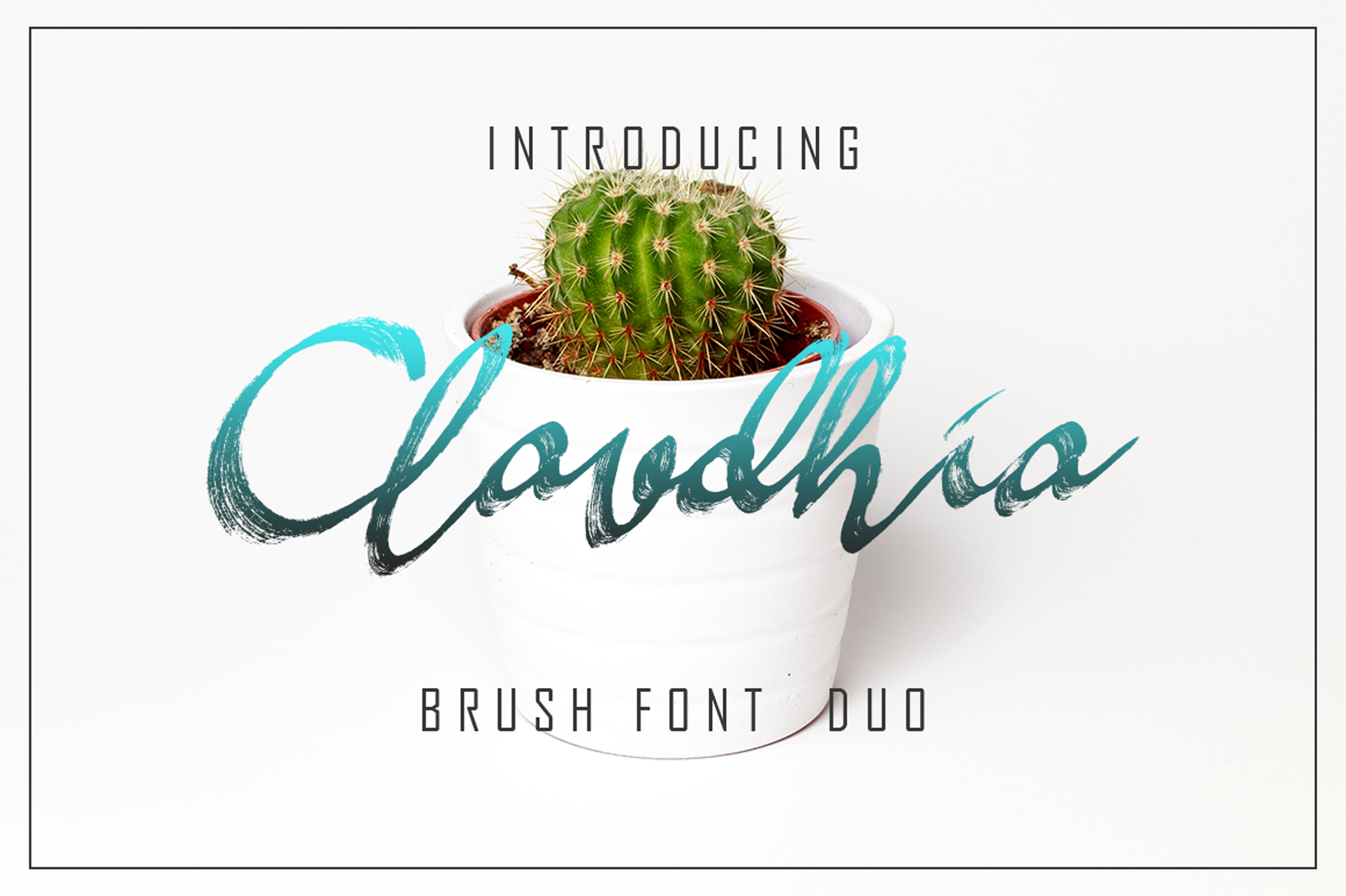 Script Fonts for Business Branding