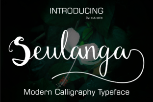 Seulanga: A Font That Elevates Your Brand